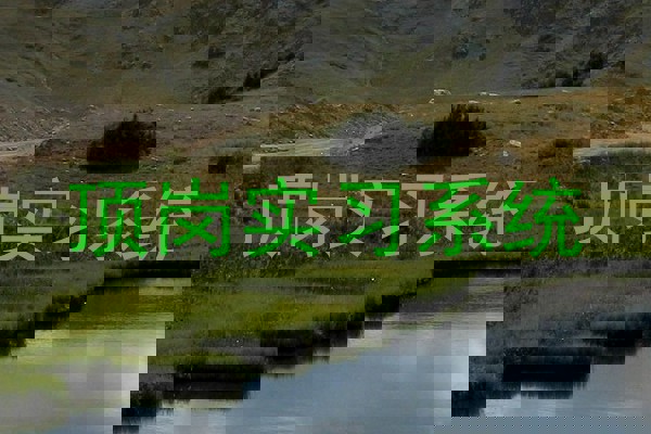 顶岗实习系统