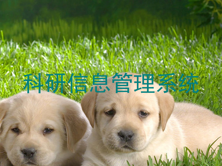 科研信息管理系统
