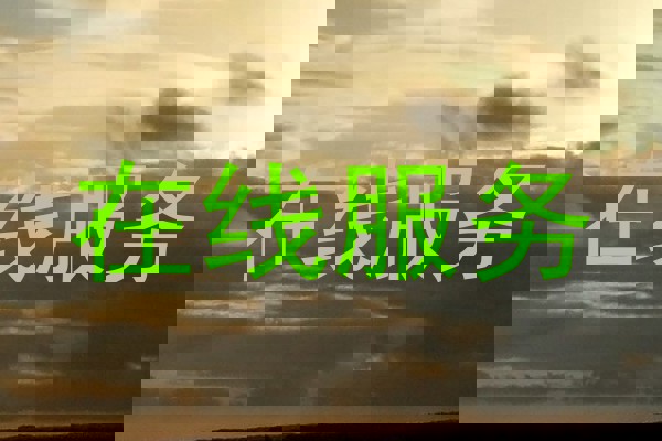 在线服务