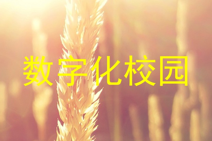 数字化校园