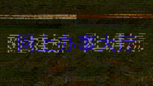 网上办事大厅