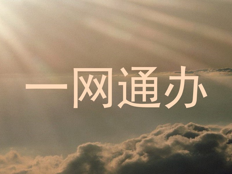 一网通办