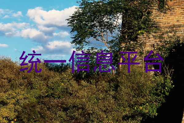 統(tǒng)一信息平臺(tái)