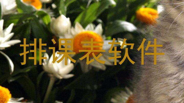 排课表软件