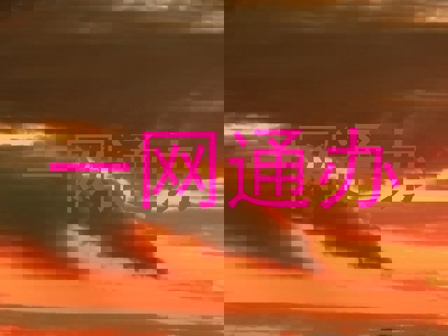 一网通办