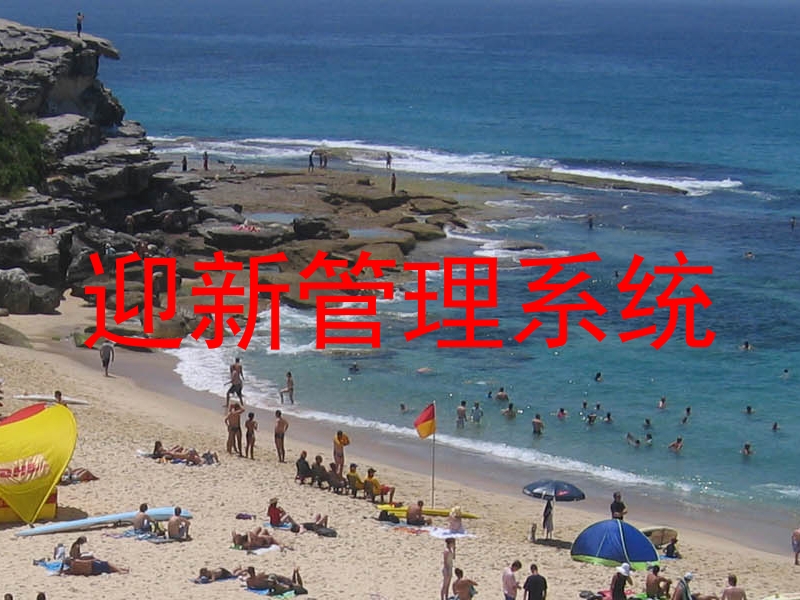 迎新管理系统