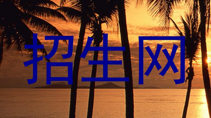 招生网