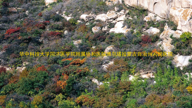 华中科技大学同济医学院附属协和医院博尔塔拉蒙古自治州人民医院