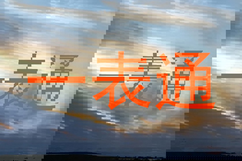 一表通