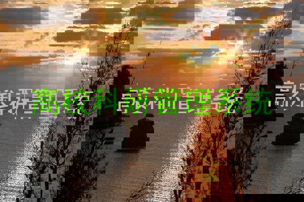 高校科研管理系统