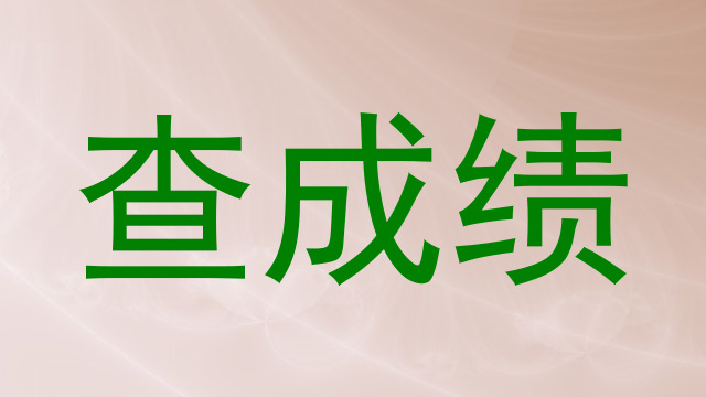 查成绩