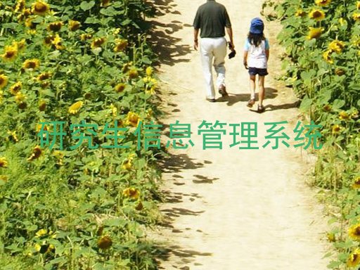 研究生信息管理系统
