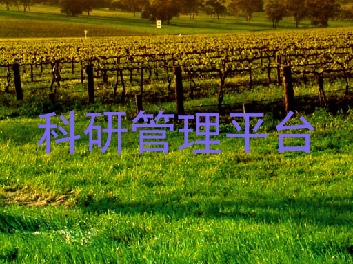 科研管理平台