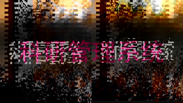 科研管理系统