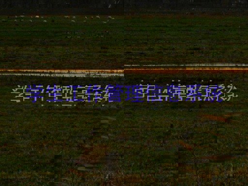 学生工作管理信息系统