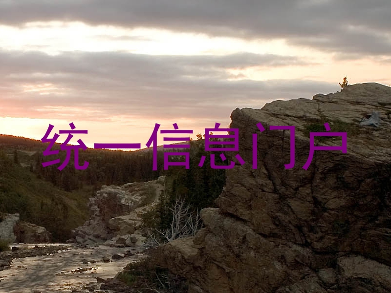 統(tǒng)一信息門戶