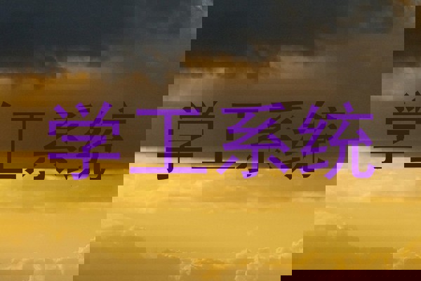学工系统
