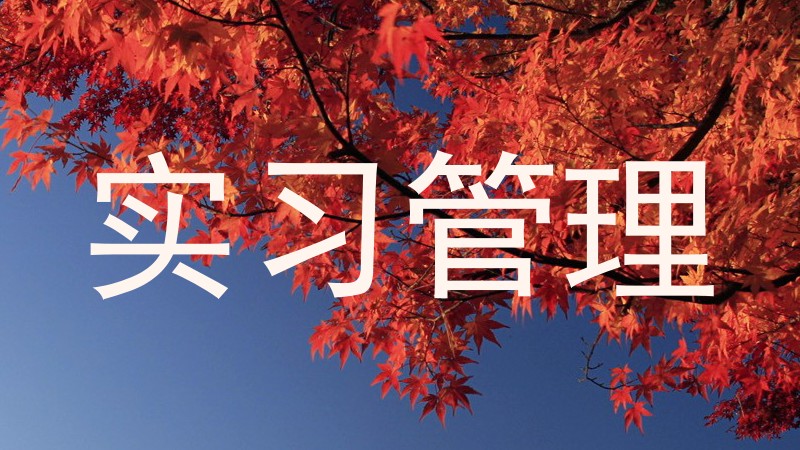 实习管理