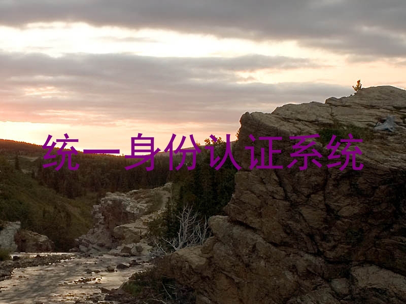 统一身份认证系统