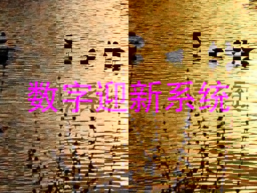 数字迎新系统