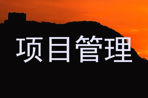 项目管理