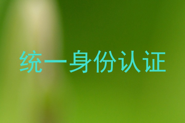 统一身份认证