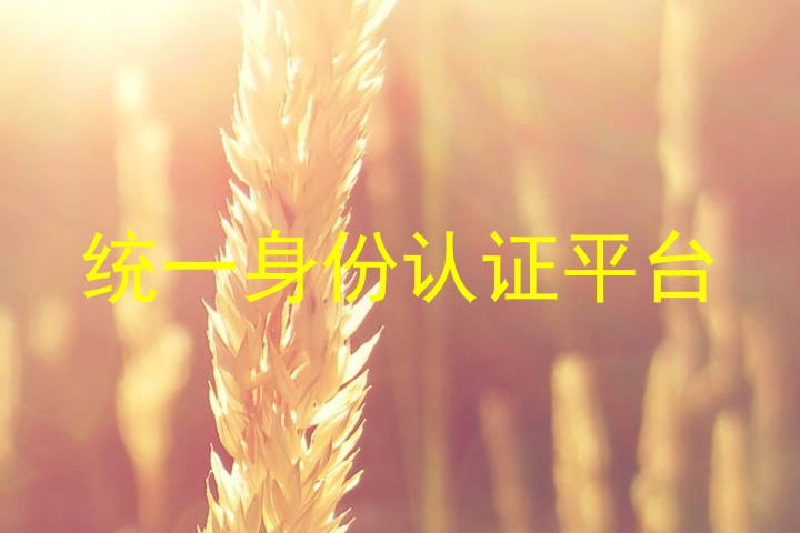 统一身份认证平台