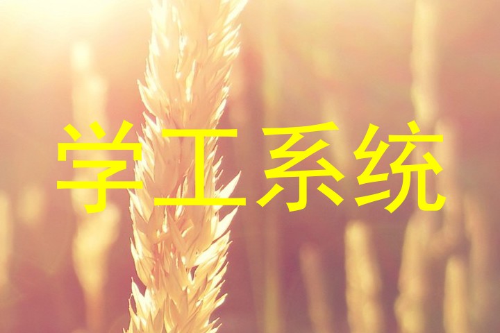 学工系统