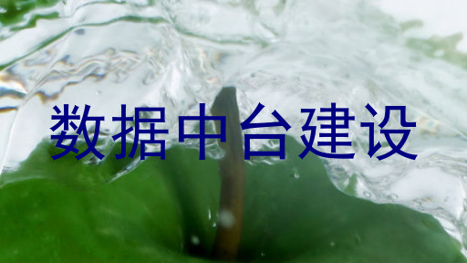 数据中台建设