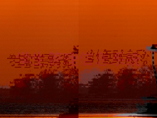 学生管理信息系统