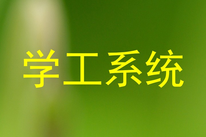 学工系统