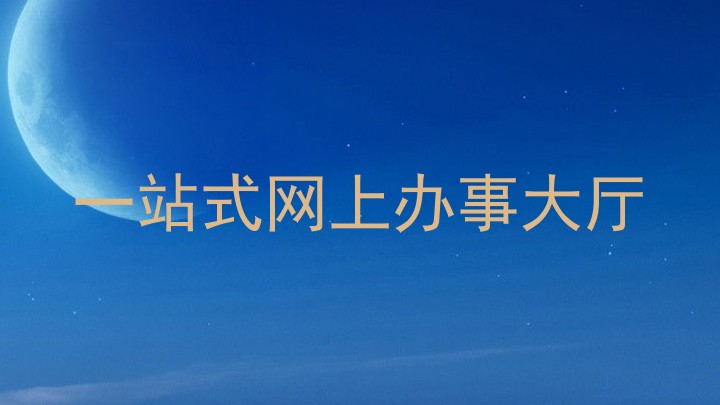 一站式网上办事大厅