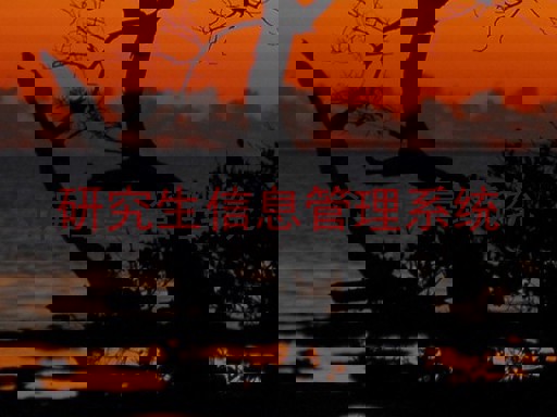 研究生信息管理系统