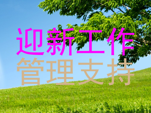 迎新工作|管理支持