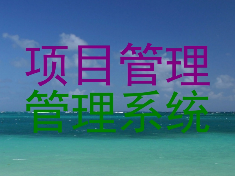 项目管理