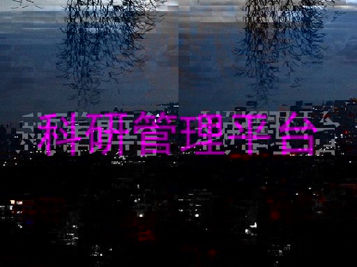 科研管理平台