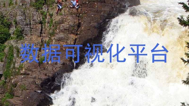 数据可视化平台