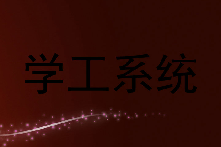 学工系统