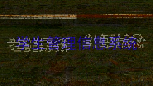 学生管理信息系统
