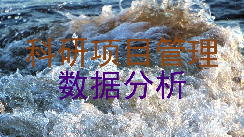 科研项目管理|数据分析