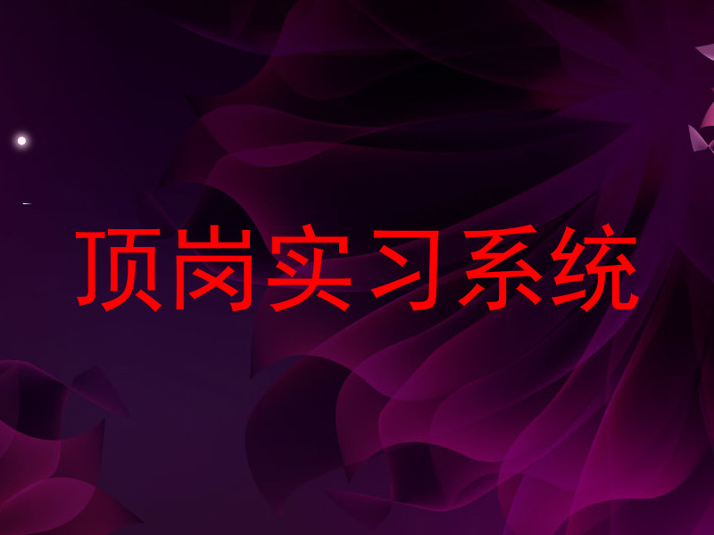 顶岗实习系统