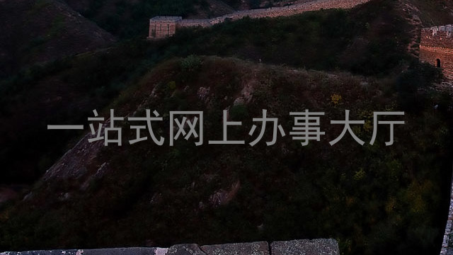 一站式网上办事大厅