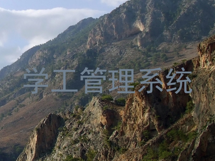 学工管理系统