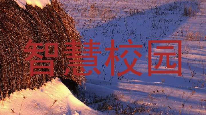 智慧校園