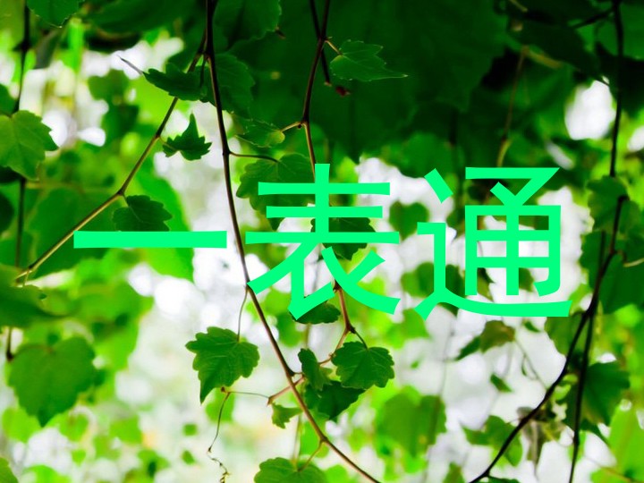 一表通
