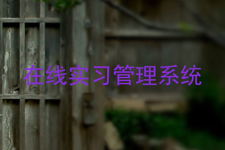 在线实习管理系统
