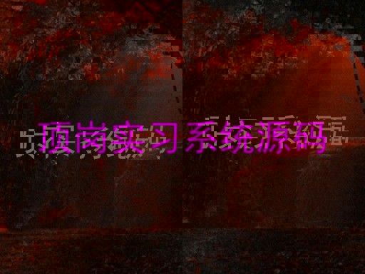 顶岗实习系统源码