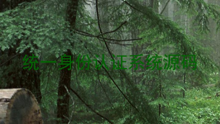 统一身份认证系统源码