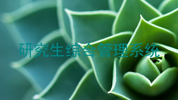 研究生综合管理系统