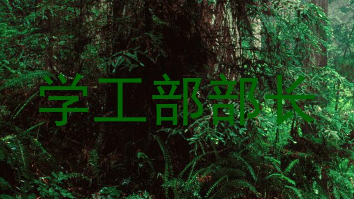 学工部部长